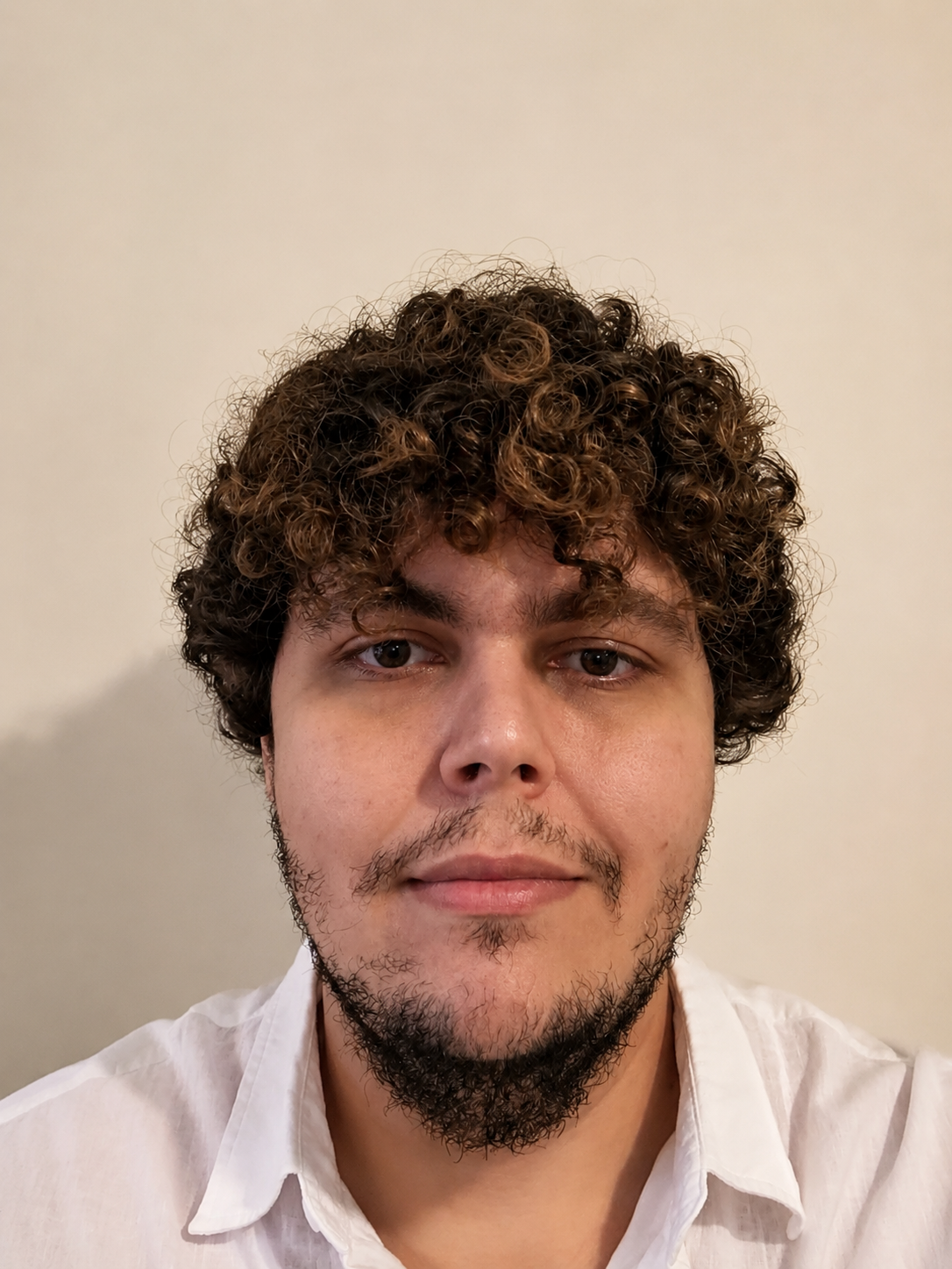 Retrato de José Luiz